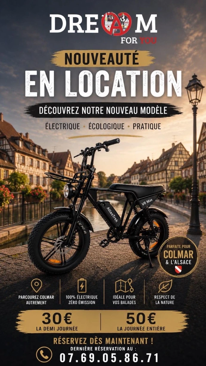 location velo colmar