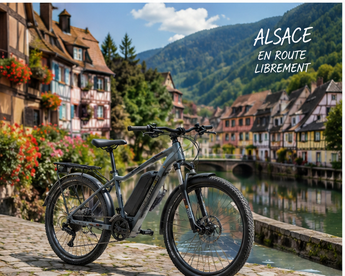Location de Vélo électrique